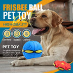 Transforming Flying Disc Ball with Motion Activated Light and Textured Grip All Vera Mart