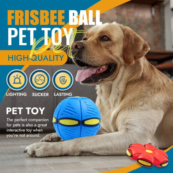 Transforming Flying Disc Ball with Motion Activated Light and Textured Grip All Vera Mart