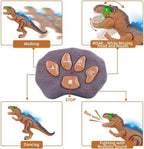 Remote Control Dinosaur Toy with Walking Roar Action and Multicolor LEDs, T-Rex 17 Inch All Vera Mart