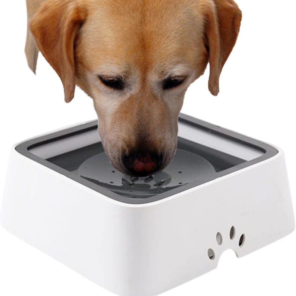 Dog Water Bowl with Floating Disk and 1.5 Liter Reservoir, Anti-Splash Design All Vera Mart