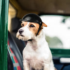 Pet Helmet with Detachable Goggles and Adjustable Straps for Dogs and Cats All Vera Mart