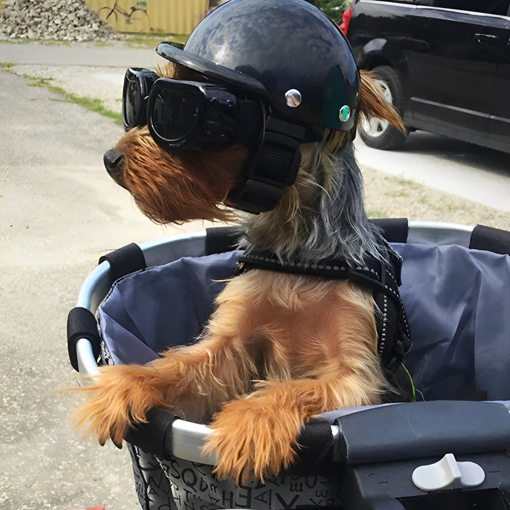 Pet Helmet with Detachable Goggles and Adjustable Straps for Dogs and Cats All Vera Mart