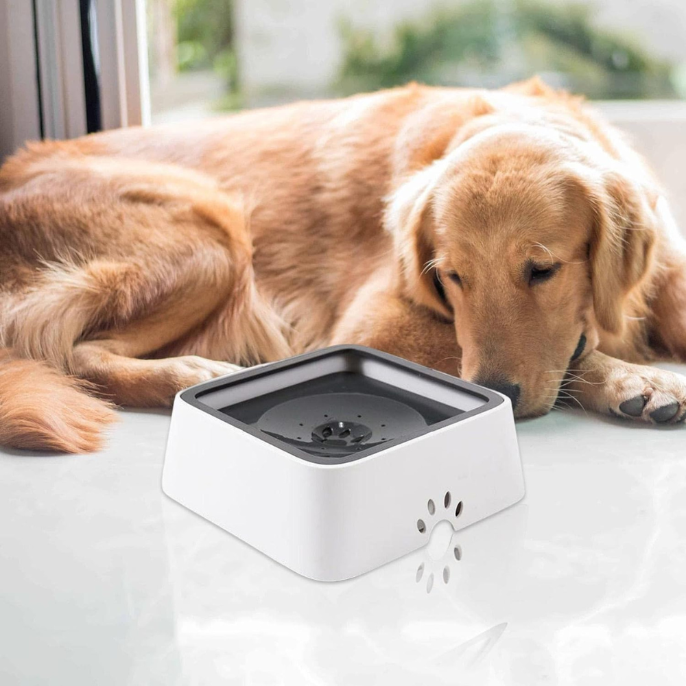Dog Water Bowl with Floating Disk and 1.5 Liter Reservoir, Anti-Splash Design All Vera Mart