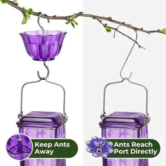Glass Hummingbird Feeder with Six Flower Ports and Ant Moat, 24oz Capacity All Vera Mart