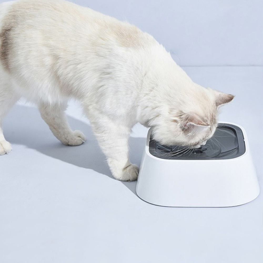 Dog Water Bowl with Floating Disk and 1.5 Liter Reservoir, Anti-Splash Design All Vera Mart