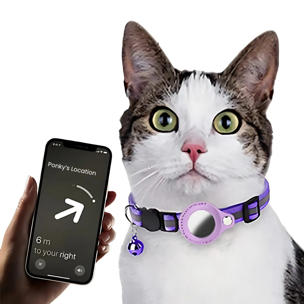 Reflective Pet Collar with Tracker Holder and Quick Release Buckle All Vera Mart