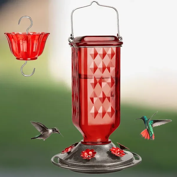 Glass Hummingbird Feeder with Six Flower Ports and Ant Moat, 24oz Capacity All Vera Mart