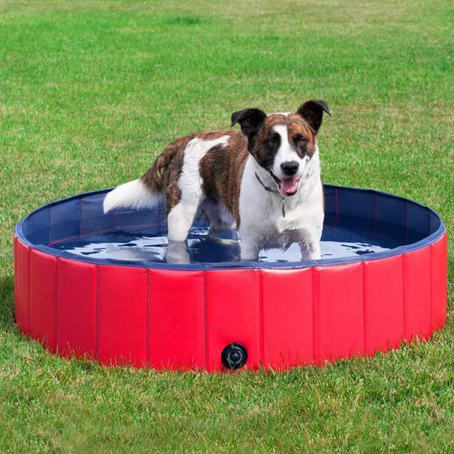 Collapsible Dog Bath Basin with Composite Fabric, 23-Inch Diameter All Vera Mart