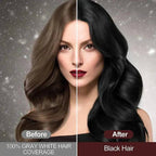 Gray Root Cover Shampoo with Plant Extracts and 10-Minute Application All Vera Mart