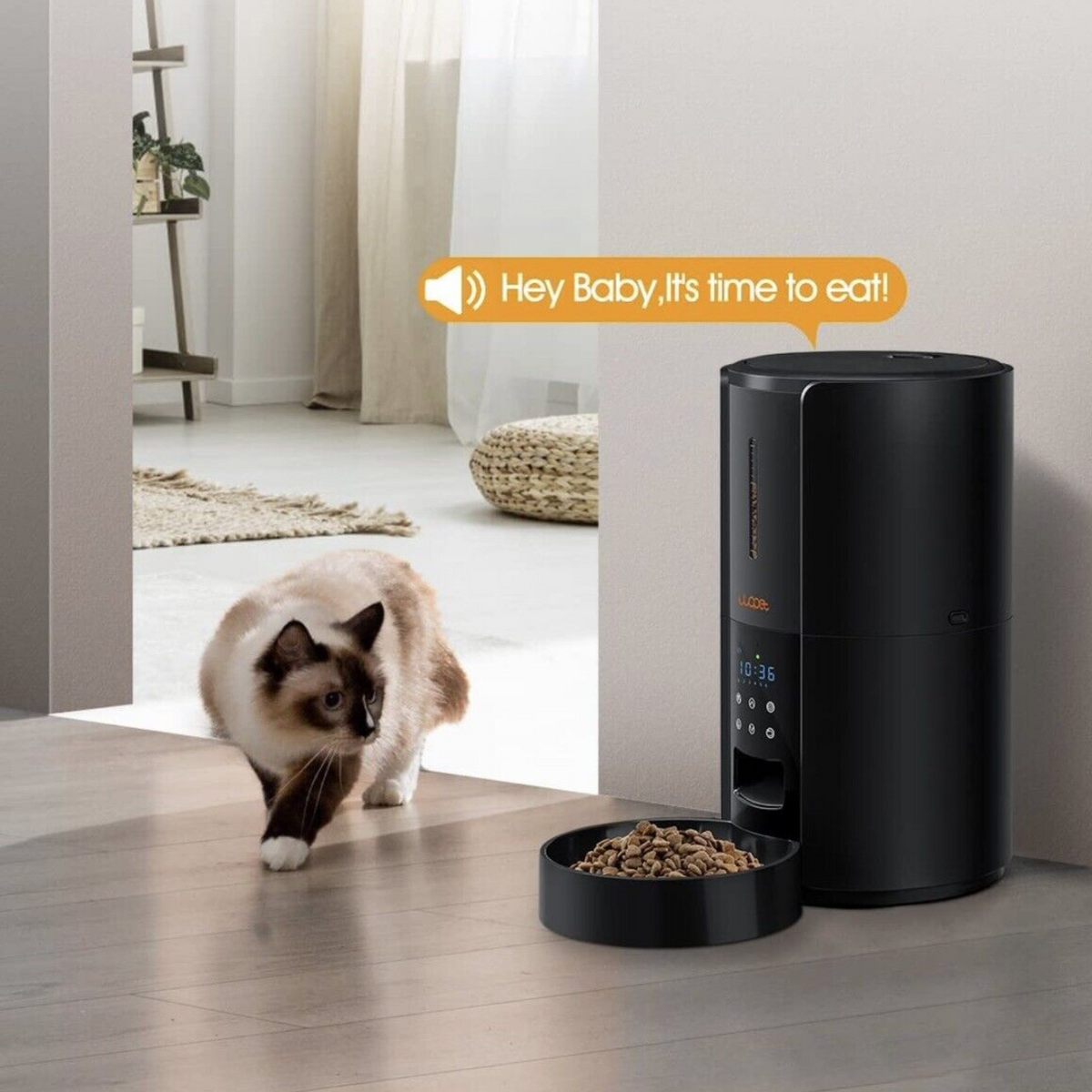 Automatic Pet Feeder with Voice Recording and Portion Control for Cats and Dogs All Vera Mart