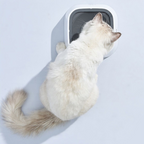 Dog Water Bowl with Floating Disk and 1.5 Liter Reservoir, Anti-Splash Design All Vera Mart