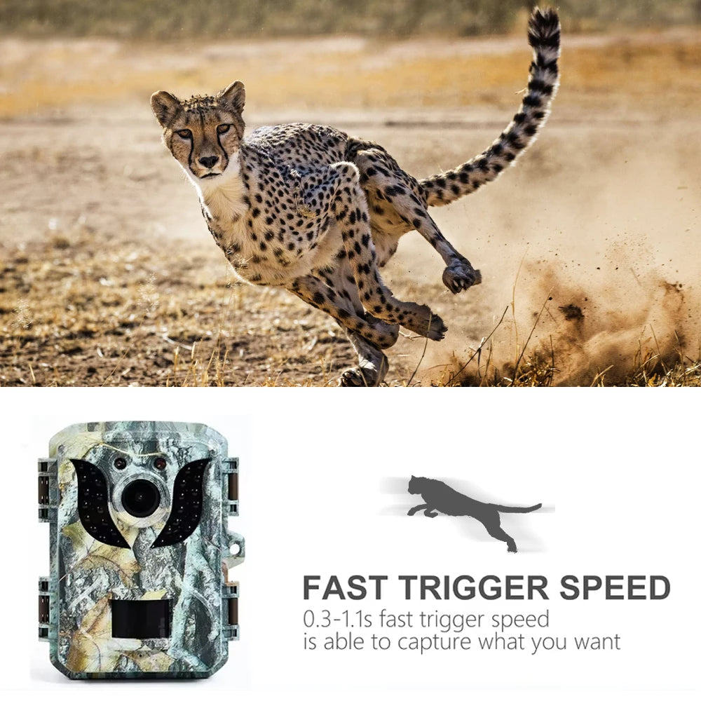 Motion Sensing Trail Camera with 16MP Infrared Night Vision and 0.2s Trigger All Vera Mart