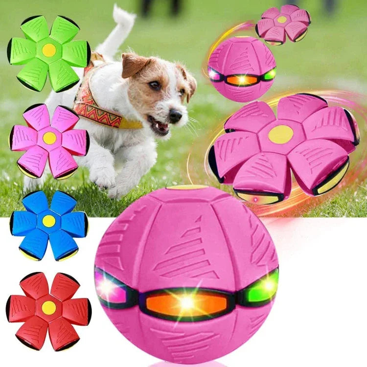 Transforming Flying Disc Ball with Motion Activated Light and Textured Grip All Vera Mart