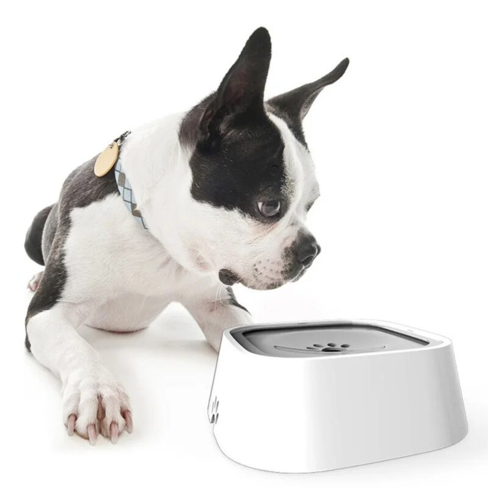 Dog Water Bowl with Floating Disk and 1.5 Liter Reservoir, Anti-Splash Design All Vera Mart