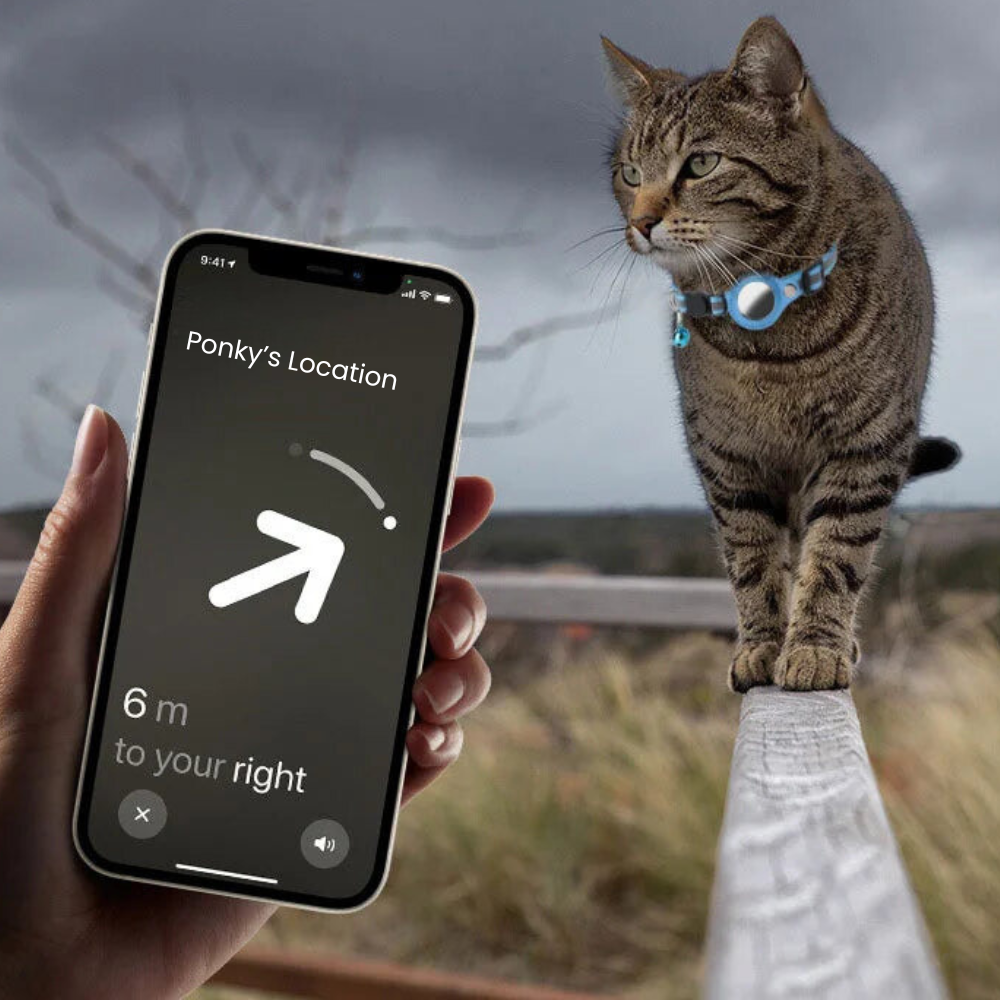 Reflective Pet Collar with Tracker Holder and Quick Release Buckle All Vera Mart