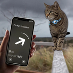 Reflective Pet Collar with Tracker Holder and Quick Release Buckle All Vera Mart
