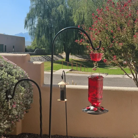 Glass Hummingbird Feeder with Six Flower Ports and Ant Moat, 24oz Capacity All Vera Mart