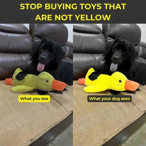 Quacking Dog Toy with Low Realistic Quack and Reinforced Plush, Machine Washable All Vera Mart
