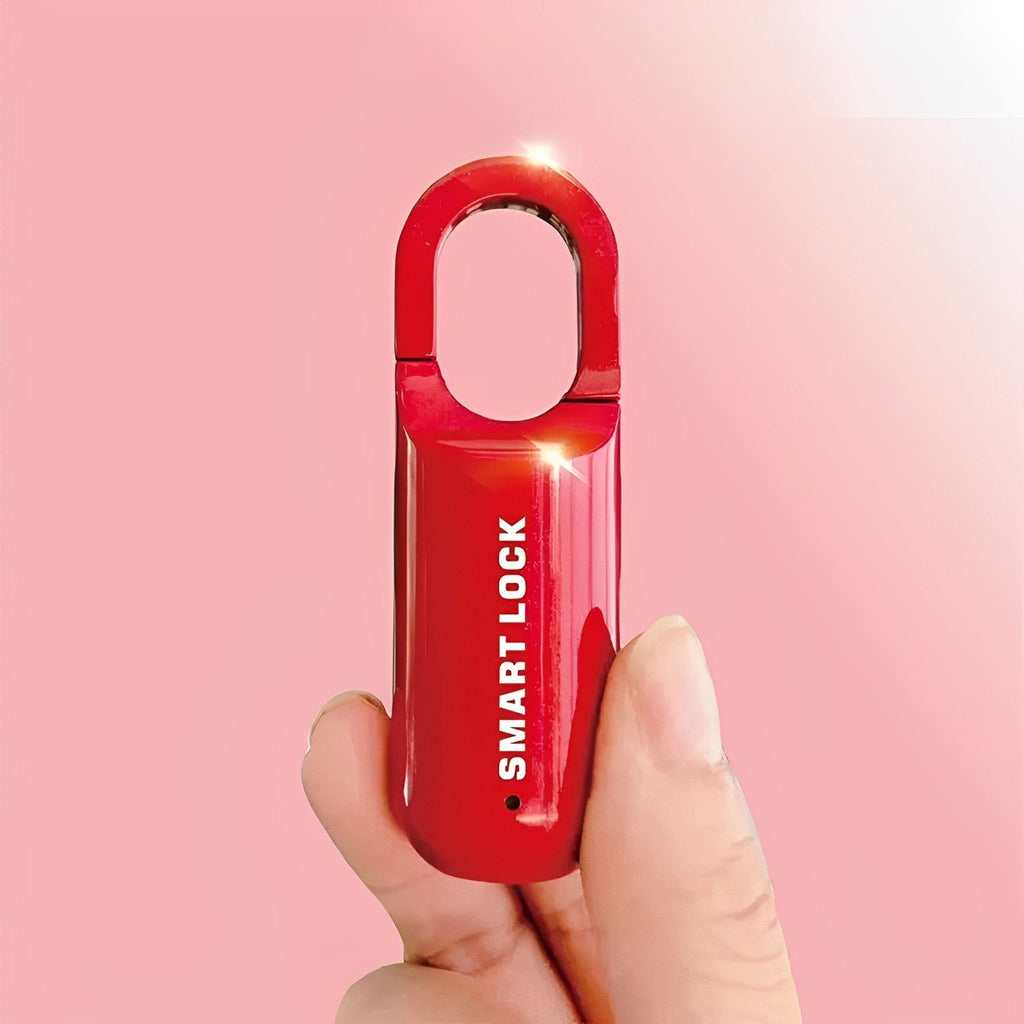 Fingerprint Padlock with 10 Fingerprint Storage and LED Status Indicator All Vera Mart