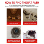 Reusable Mouse Trap Cage with Sliding Door and One Way Entry System All Vera Mart