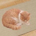 Cat Scratch Protector Mat with Self Adhesive Backing and Nonwoven Fabric All Vera Mart