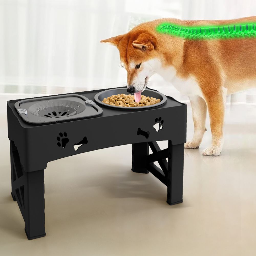 Raised Dog Slow Feeder Bowl with Maze Design and 5 Height Adjustments All Vera Mart