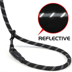 Dog Leash 4.9ft with Reflective Stitching and Double Rope Construction All Vera Mart