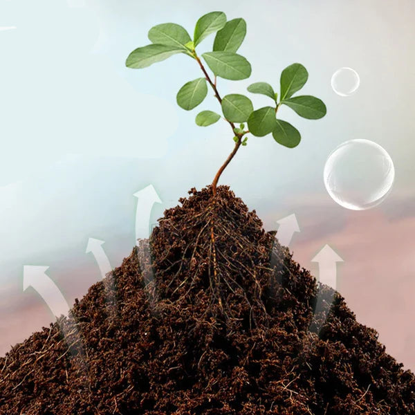 Compressed Coco Coir Block with Water Expansion and Natural Fibers for Plants All Vera Mart
