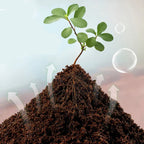 Compressed Coco Coir Block with Water Expansion and Natural Fibers for Plants All Vera Mart