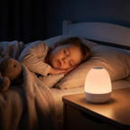 Egg Shaped Night Light with Touch Control and Rechargeable Battery All Vera Mart
