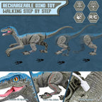 Velociraptor Toy with 2.4GHz Remote and Lifelike Motion, Lights, Rechargeable USB All Vera Mart