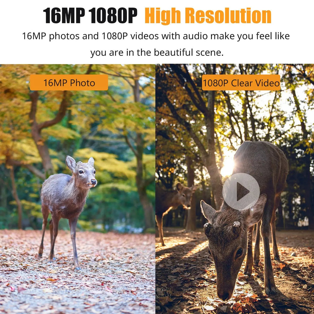 Motion Activated Trail Camera with 16MP Photos and 1080P Video, 0.6 Second Trigger All Vera Mart