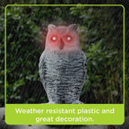 Rotating Owl Decoy with Flashing Eyes and Sound Effects All Vera Mart