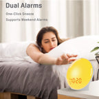 LED Sunrise Alarm Clock with FM Radio and Dual Alarms, 14-Color Light All Vera Mart