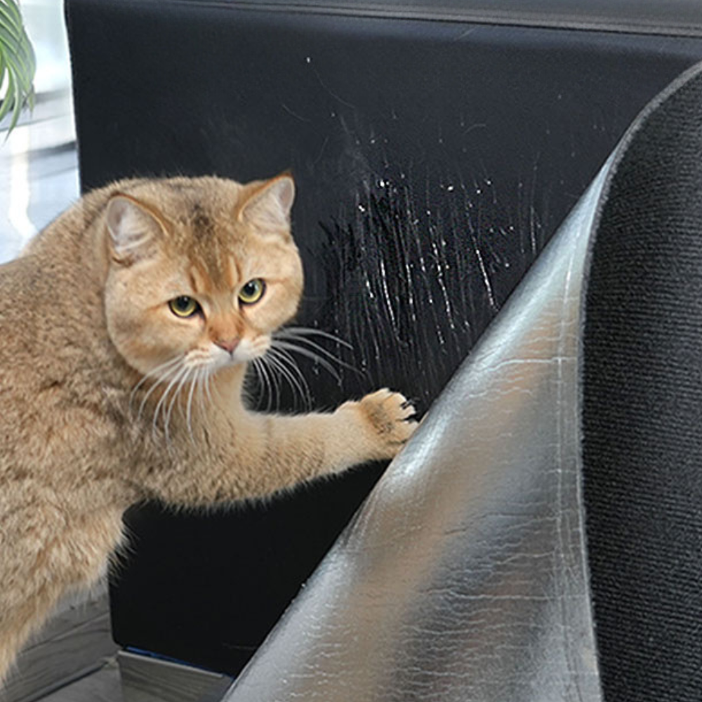 Cat Scratch Protector Mat with Self Adhesive Backing and Nonwoven Fabric All Vera Mart