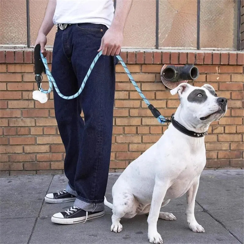 Dog Leash 4.9ft with Reflective Stitching and Double Rope Construction All Vera Mart