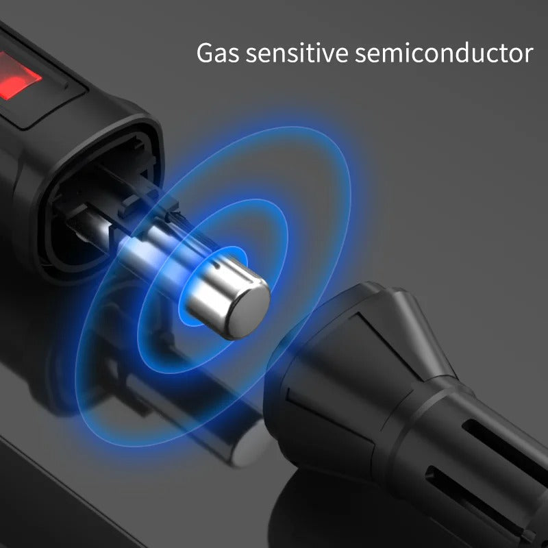 Portable Combustible Gas Detector with Dual Sound and Light Alarm All Vera Mart