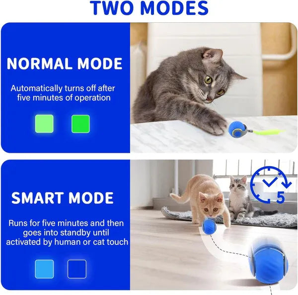 Rolling Interactive Cat Toy Ball with Rechargeable Battery and Adjustable Speed All Vera Mart
