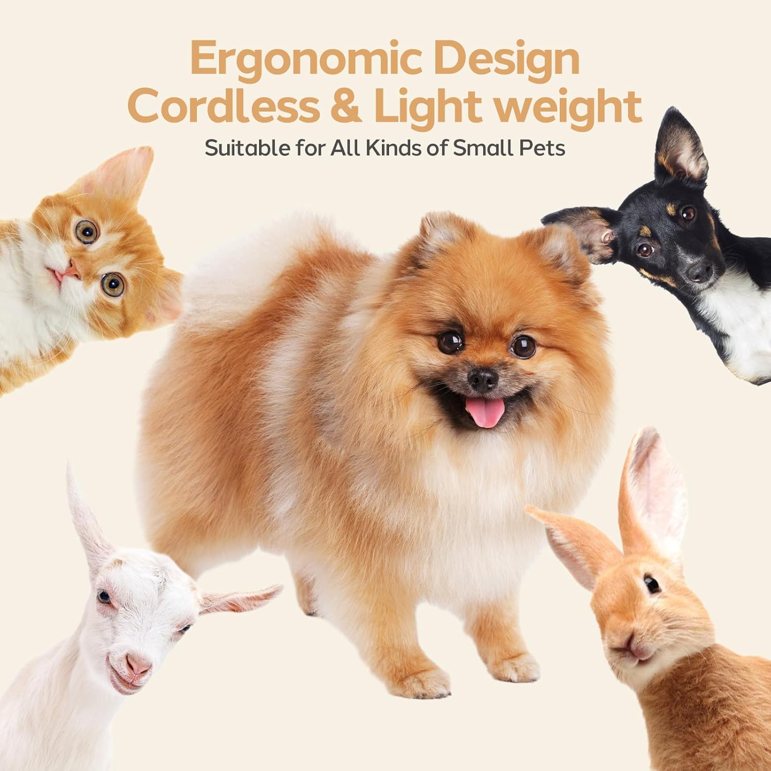 Cordless Dog Clipper with Titanium Ceramic Blades and Four Interchangeable Heads All Vera Mart