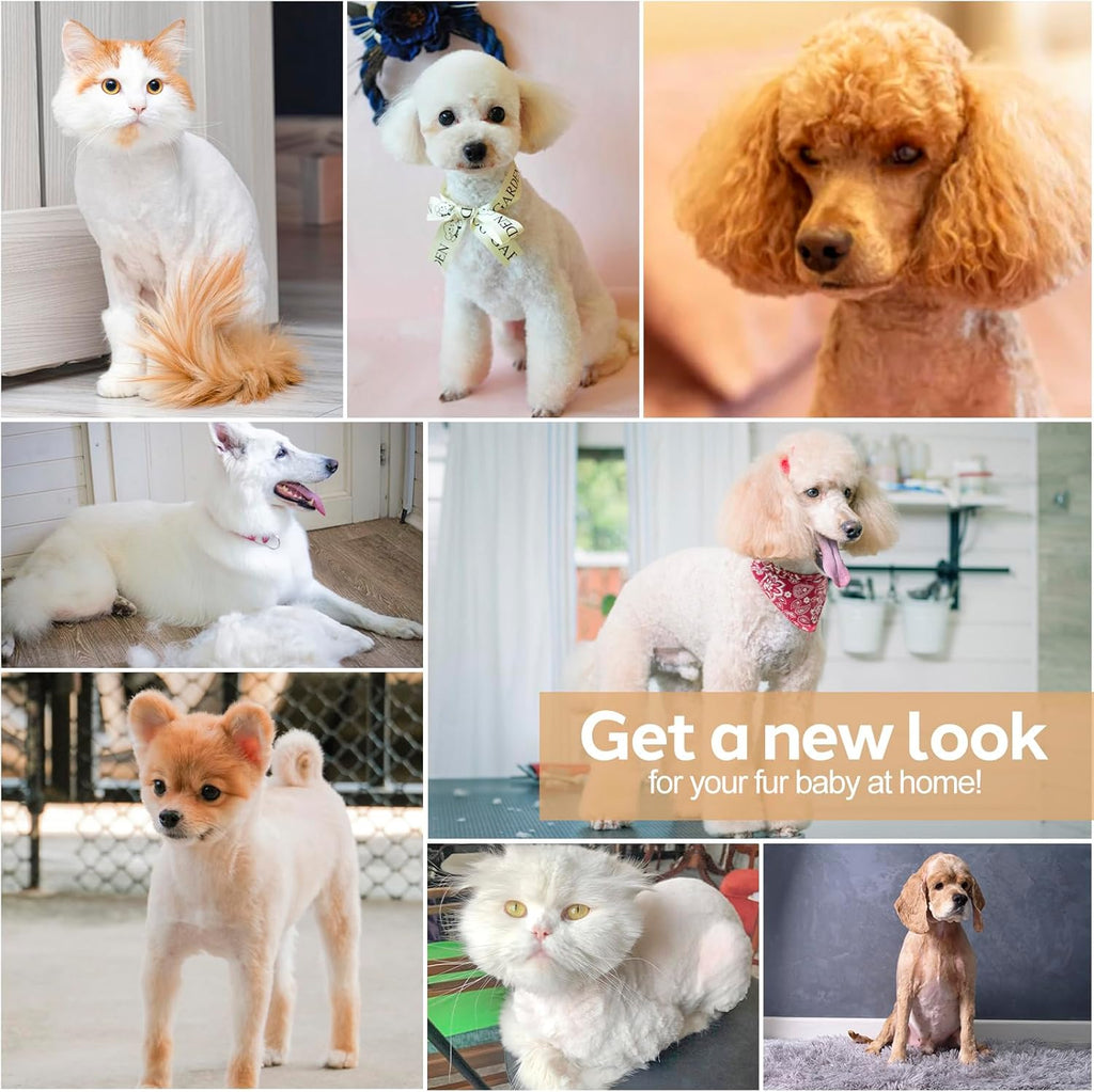 Cordless Dog Clipper with Titanium Ceramic Blades and Four Interchangeable Heads All Vera Mart