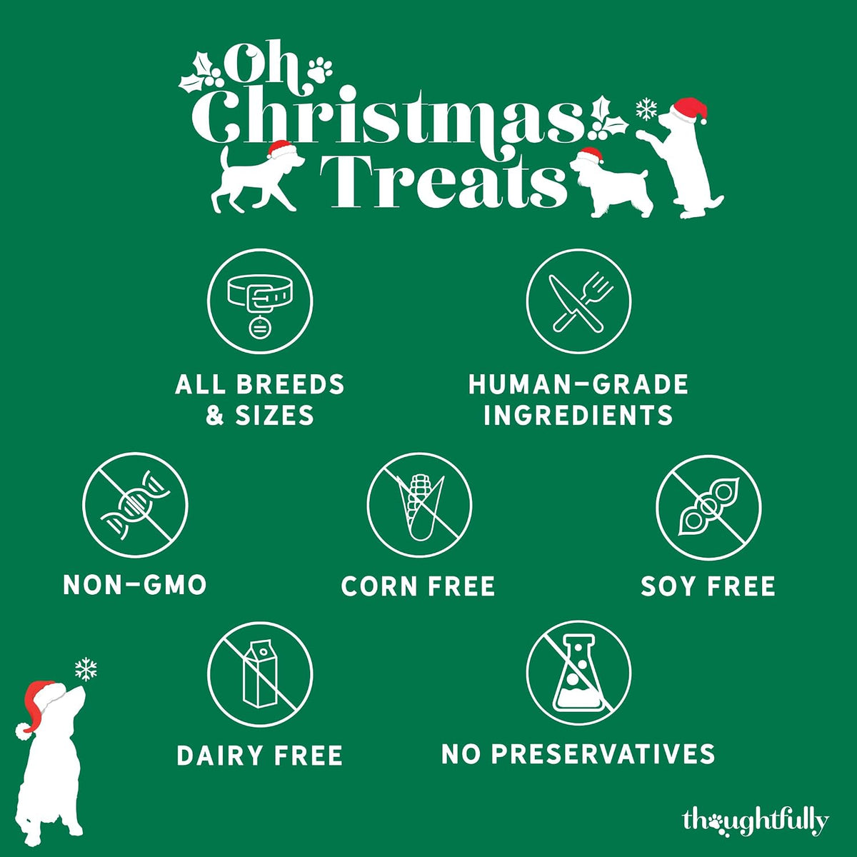 Advent Calendar for Dogs with 24 Gingerbread Bone Biscuits and Festive Designs All Vera Mart