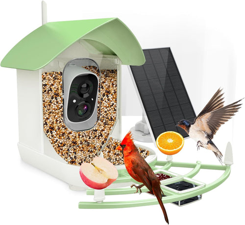 Bird Feeder Camera with 1080p Video and Bird Recognition, Solar Powered All Vera Mart