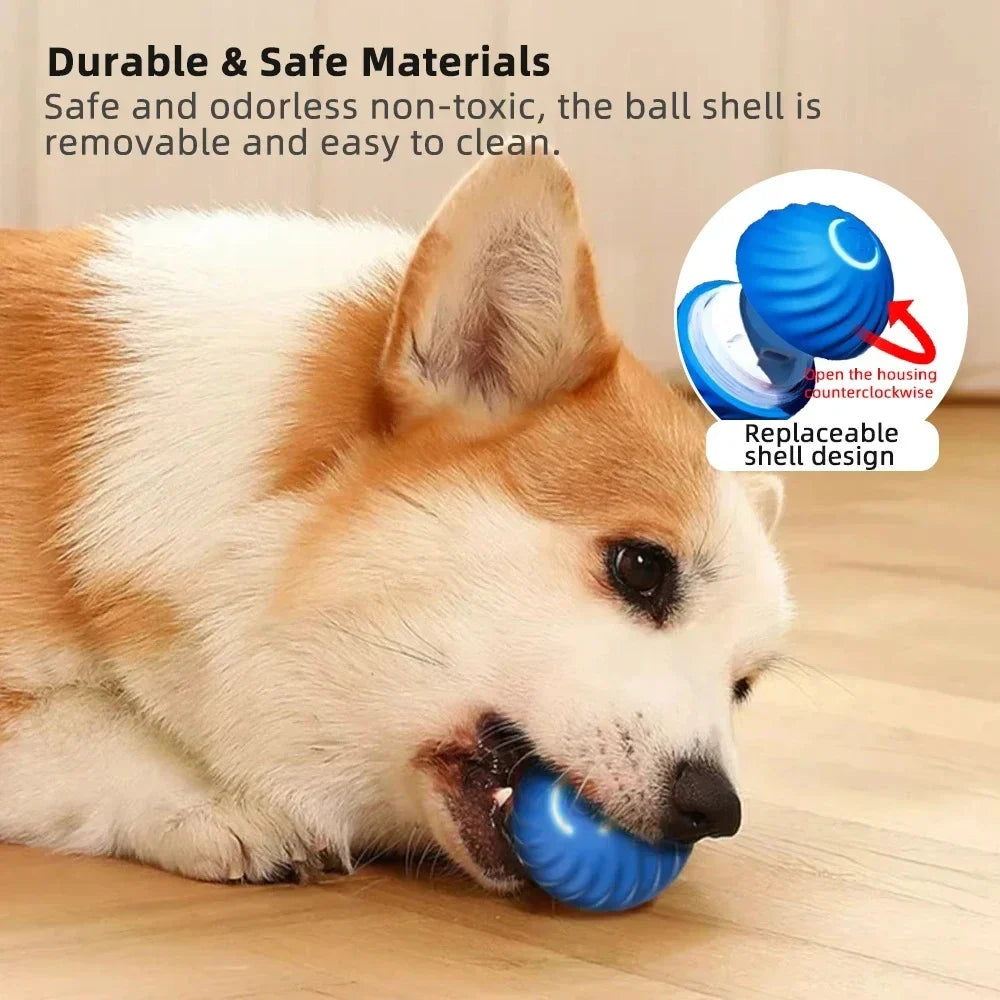 Interactive Rolling Dog Toy with Automatic Motion and Touch Activation All Vera Mart