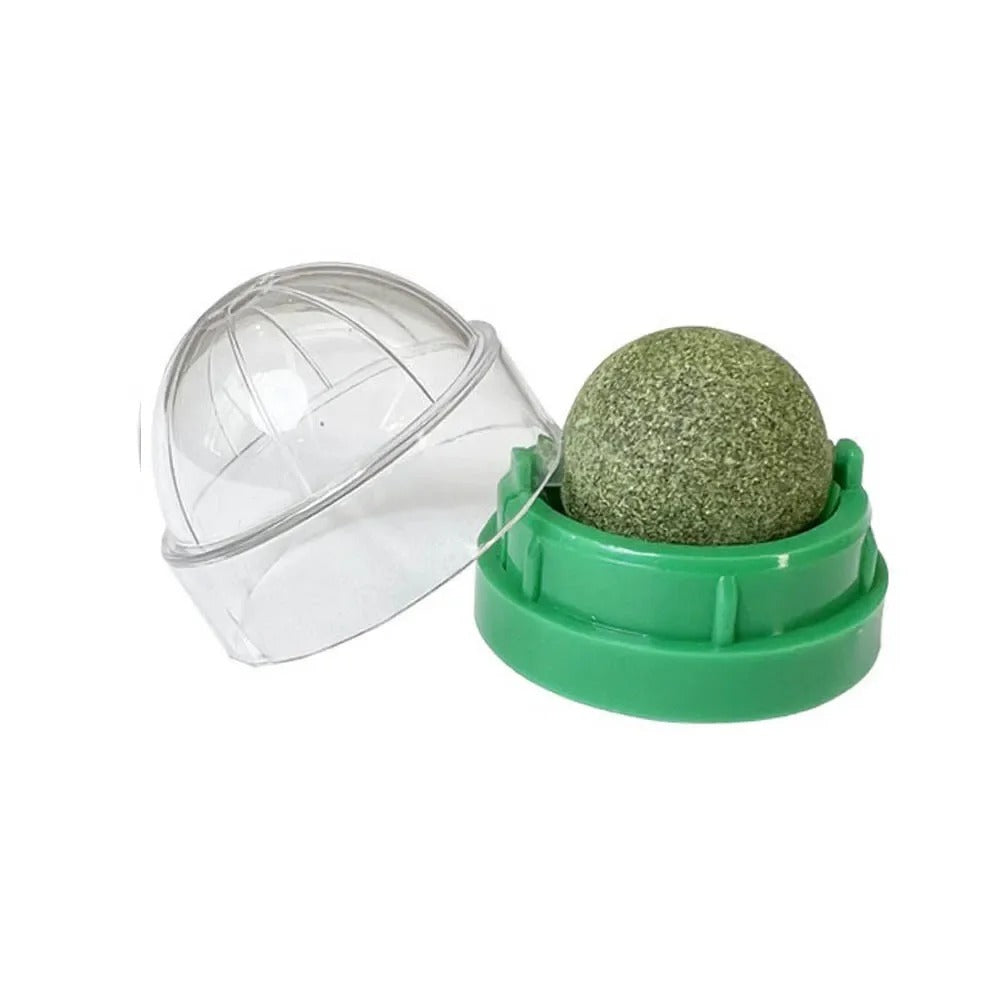 Spinning Catnip Ball with Adhesive Backing and Mint, 4-Pack Set All Vera Mart
