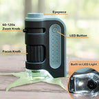 Pocket Microscope with 60x-120x Magnification and Built-in LED Light All Vera Mart