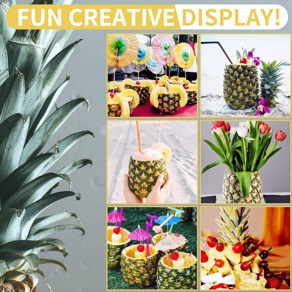 Stainless Steel Pineapple Corer with Serrated Blade and Spring Loaded Handle All Vera Mart