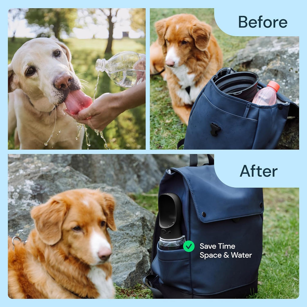 Dog Water Bottle with Attached Bowl and One Hand Button Control, 19oz All Vera Mart