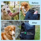 Dog Water Bottle with Attached Bowl and One Hand Button Control, 19oz All Vera Mart