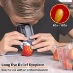 Pocket Microscope with 60x-120x Magnification and Built-in LED Light All Vera Mart