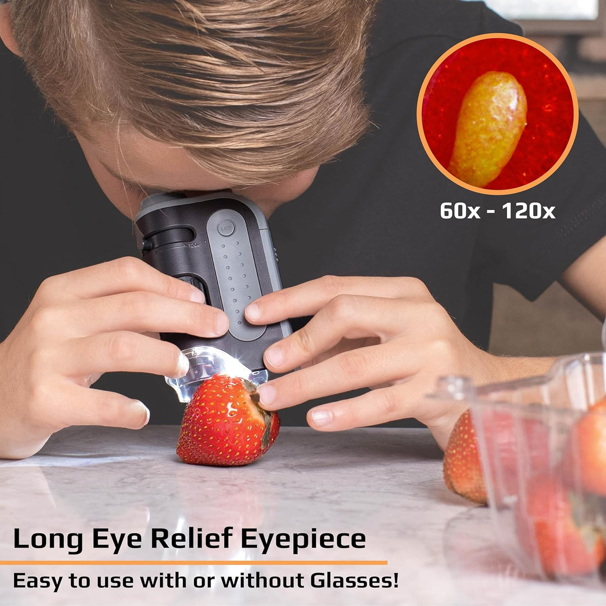Pocket Microscope with 60x-120x Magnification and Built-in LED Light All Vera Mart
